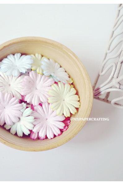 30 Mixed Pastel Medium Daisy Flowers petal / pack