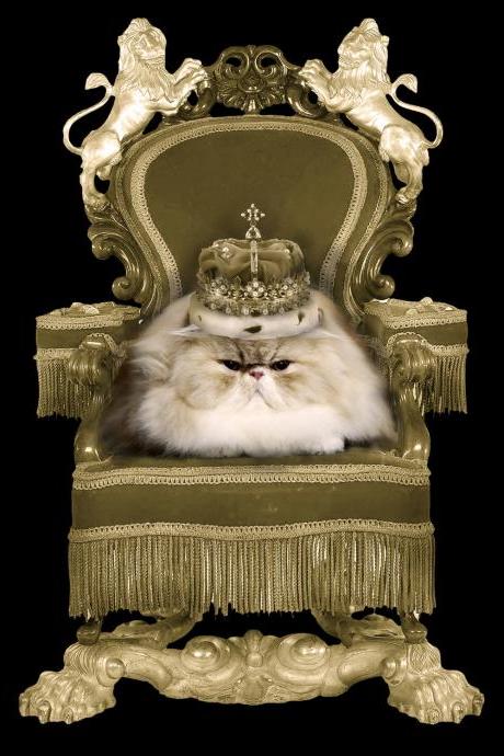 Watch The Throne, Cat Poster 18' x 24'
