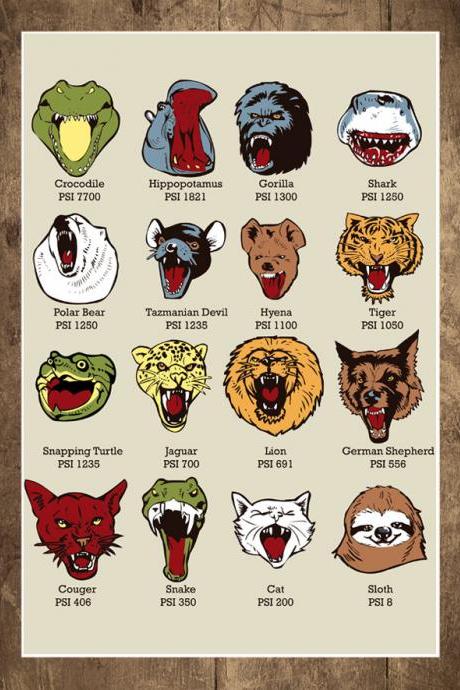 Wall Art, Know your Chomps, PSI Chart, Diagram, Science poster, Sloth, Slothzilla, KNOWLEDGE
