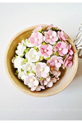 30 Mixed pink & white flowers / pack
