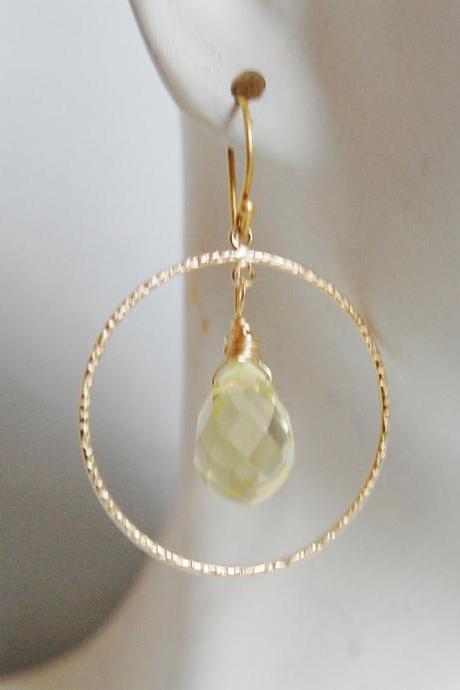 Gold filled Hoop earrings with Lemon Quartz Briolette