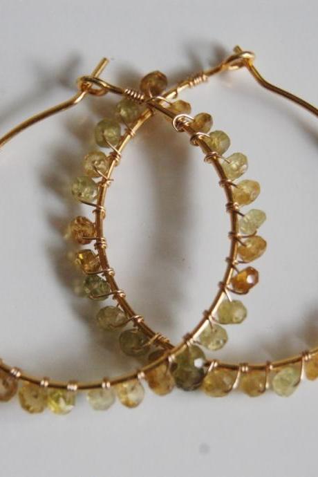 Rare shaded Grossular garnet Gold filled Hoop Earrings