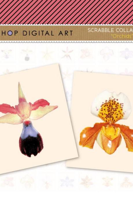 Scrabble Digital Collage Sheet - Orchids