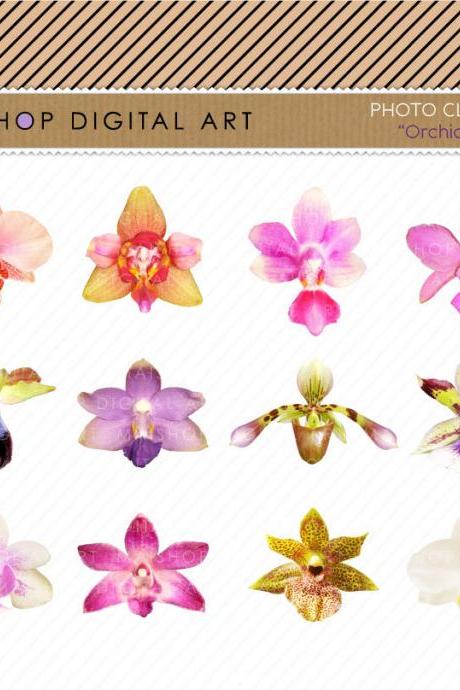 Orchids Clip Art - Flowers Images - Digital Collage Sheet - Orchids II - INSTANT DOWNLOAD - Buy Any 2 Packs Get 1 Free