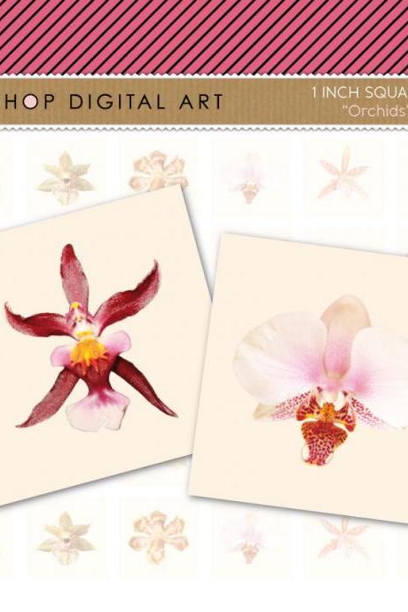 1' Digital Collage Sheet Squares - Orchids Flowers - INSTANT DOWNLOAD - Buy Any 2 Packs Get 1 Free