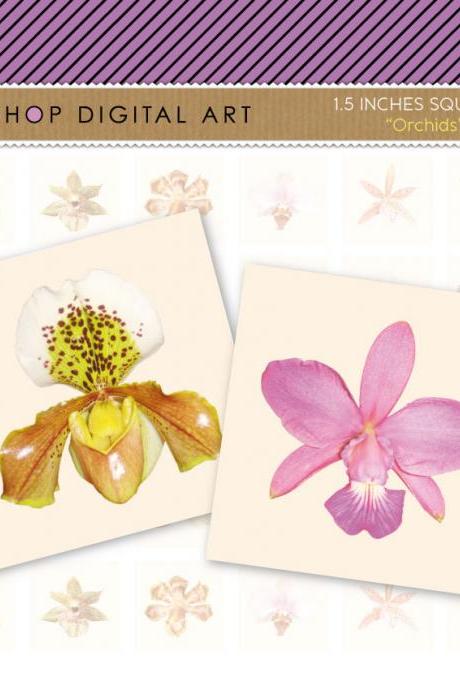 1.5' Digital Collage Sheet Squares - Orchids Flowers- INSTANT DOWNLOAD - Buy Any 2 Packs Get 1 Free