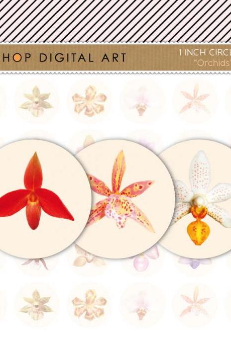 1' Digital Collage Sheet Circles - Orchids Flowers - INSTANT DOWNLOAD - Buy Any 2 Packs Get 1 Free