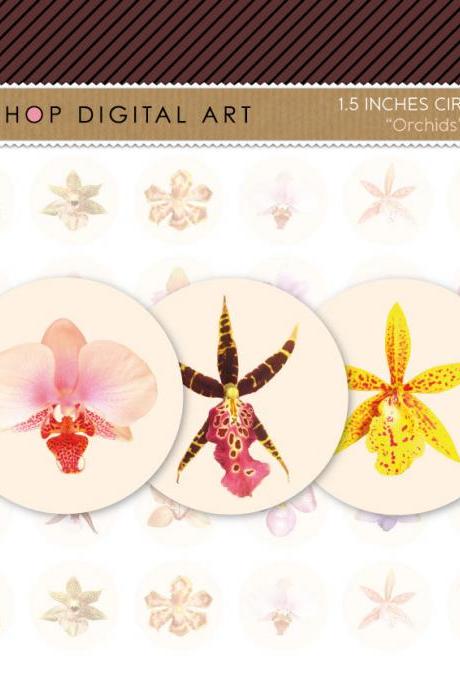 1.5' Digital Collage Sheet Circles - Orchids Flowers - INSTANT DOWNLOAD - Buy Any 2 Packs Get 1 Free