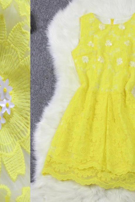 Stylish Embroidered Lace Vest Dress
