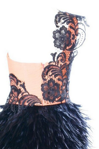 Lace Shoulder Really Feather Dress