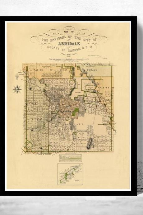 Vintage Map of Armidale City ,Australia 1881