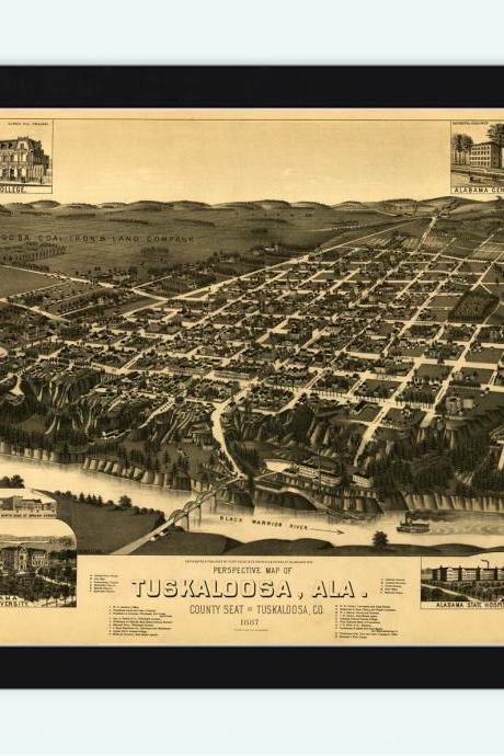 Panoramic View Of Tuscaloosa Alabama 1887